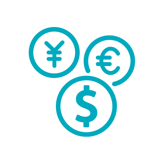 Sistema multidivisa y multilingüe